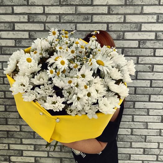 Bouquet of Chamomile 🌼