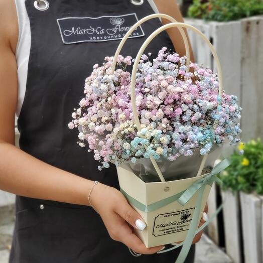 Bolso de gypsophila del arco iris