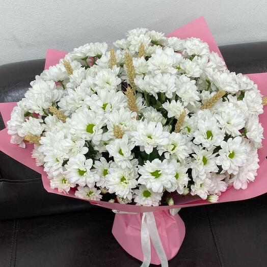 Небесный взгляд