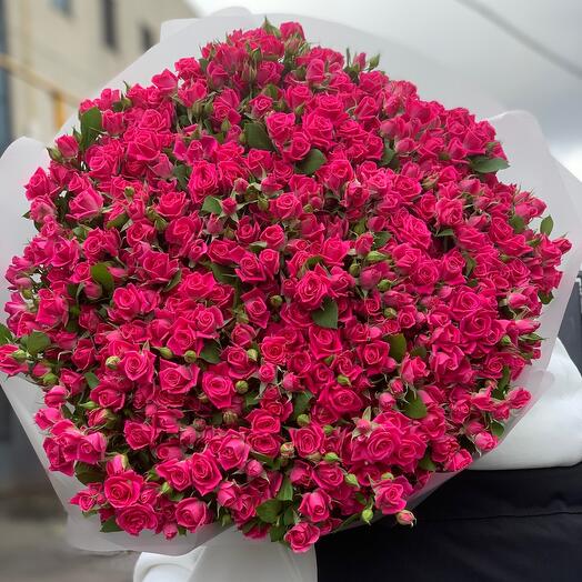 101 bush roses