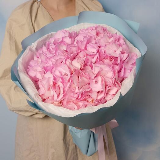 Cotton candy , Lush pink hydrangeas