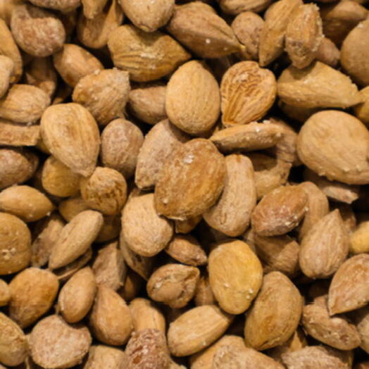 Apricot seeds