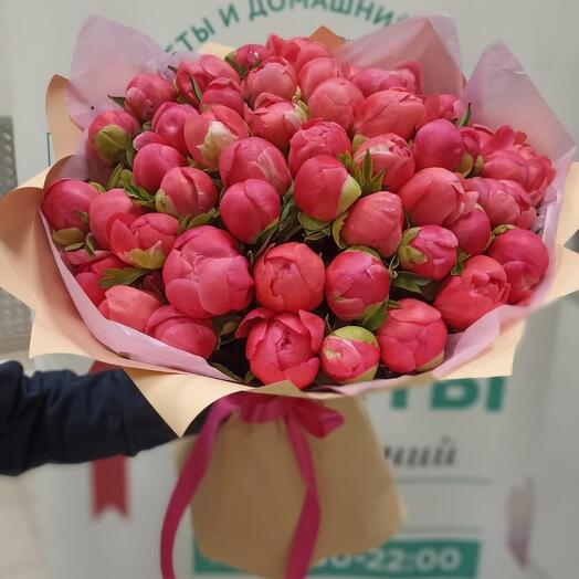 Coral peonies