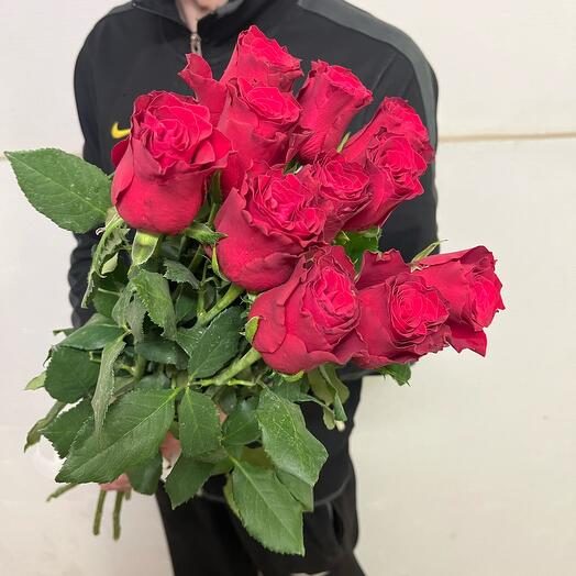 Rosas