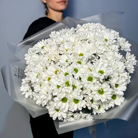 A large bouquet of white, bush chrysanthemum flowers