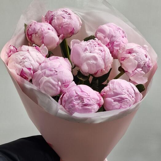 Пионы Сара Бернар