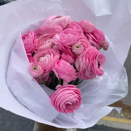 Ranunculus pink