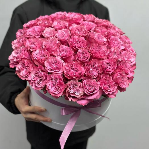 49 Ecuadorian Rose Country blues