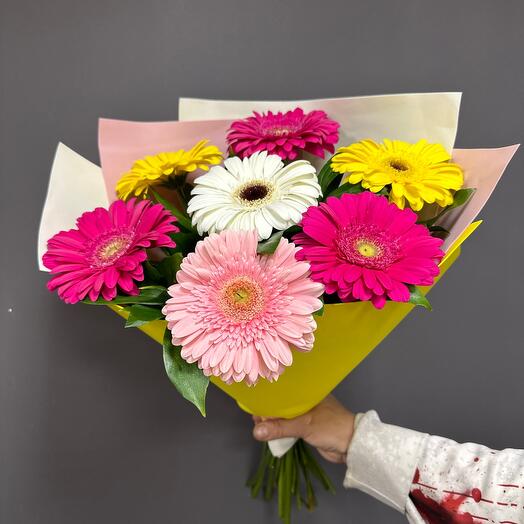 ,7 colorful gerberas