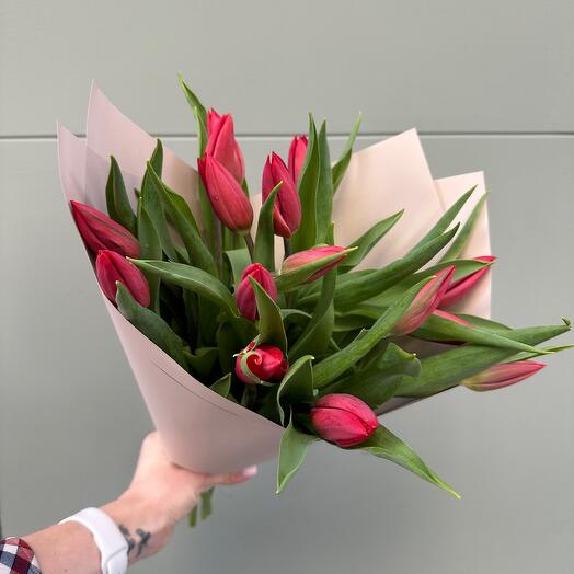 15 tulipanes rojos