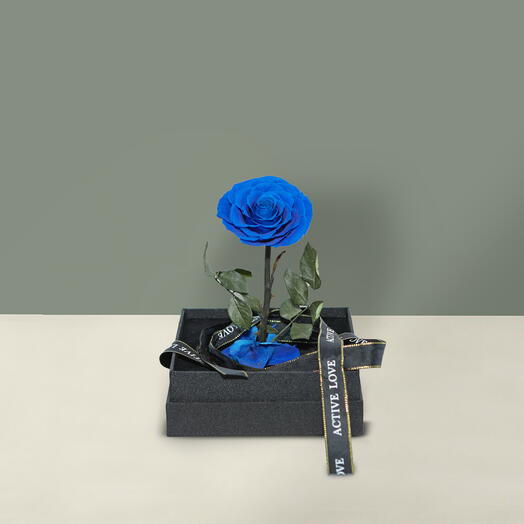 Infinity Blue Single