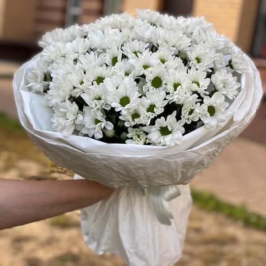 Ромашка плюс