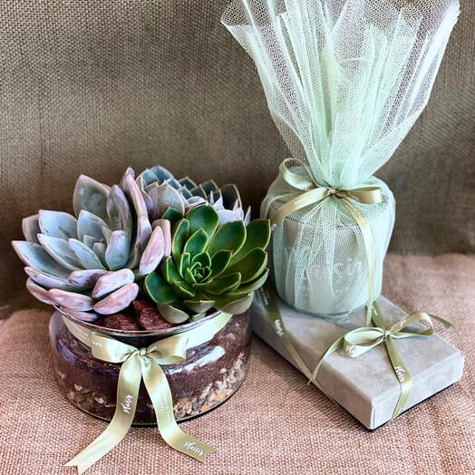 Succulent bowl gift set with Chocolates and Candle