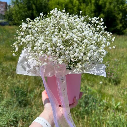 Гипсофила белая