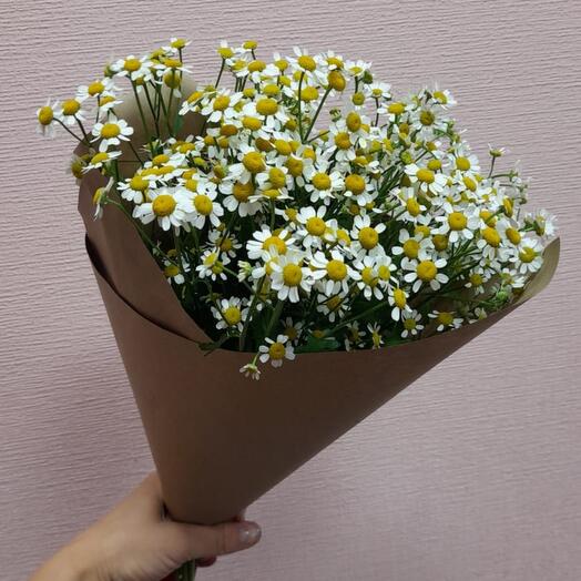 Bouquet of Chamomile in the craft of matricaria