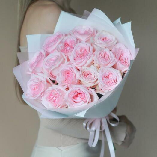 Blush Elegance: 15 Pink Ohara Roses - 1894