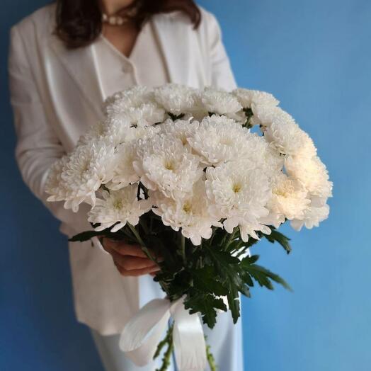 Bouquet of bushy white chrysanthemum of the Baltika variety