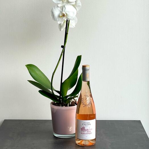 Set orchid with rose wine