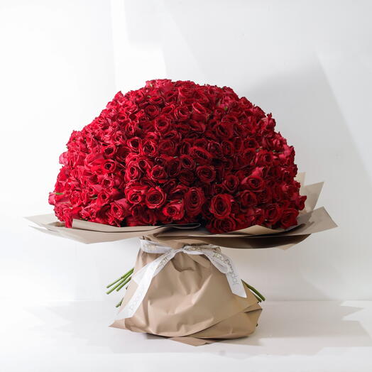 500 Premium Red Rose Bouquet