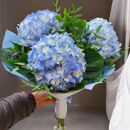 Bouquet of hortensias / hydrangeas