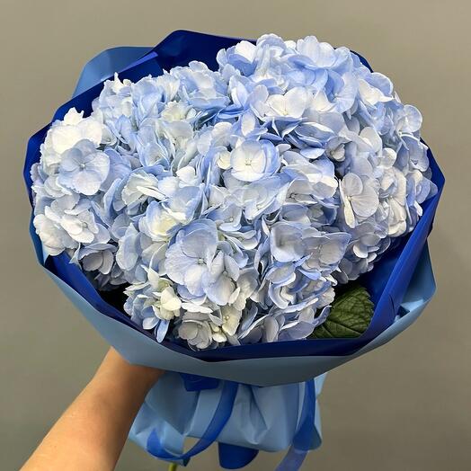 Букет Гортензий Lady blue