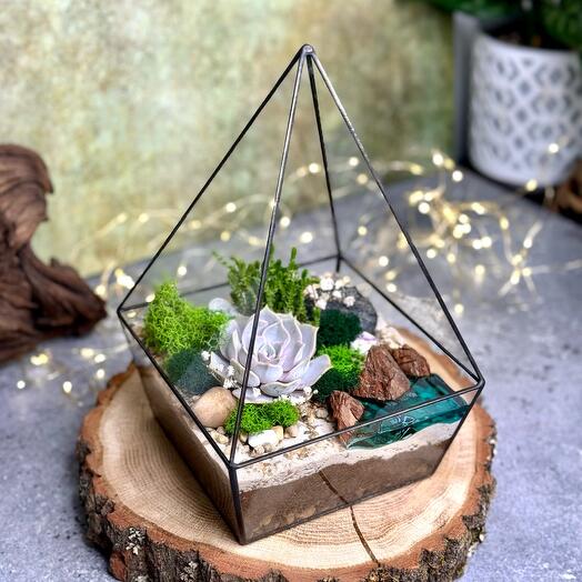 Pyramid with succulents and a pond
