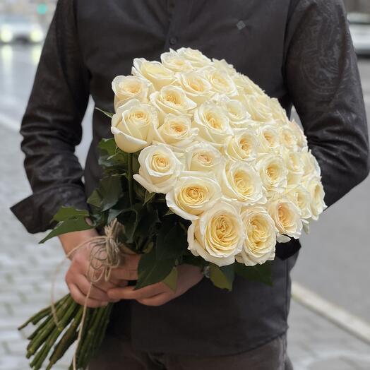 White Holland Roses N-09