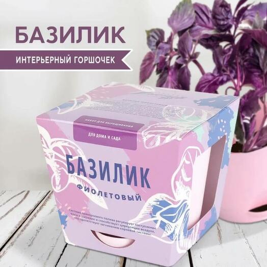Набор для выращивания растений Тысяча листьев Базилик фиолетовый