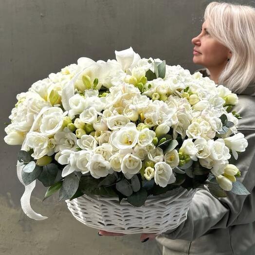 Корзина из белых фрезий XL