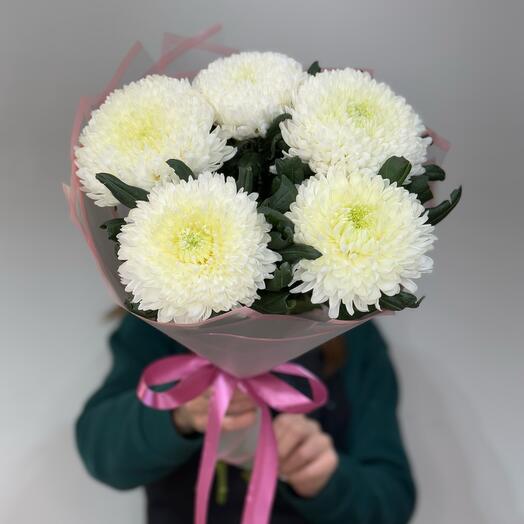 Хризантемы 🌼