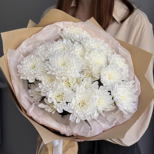 5 bush chrysanthemums