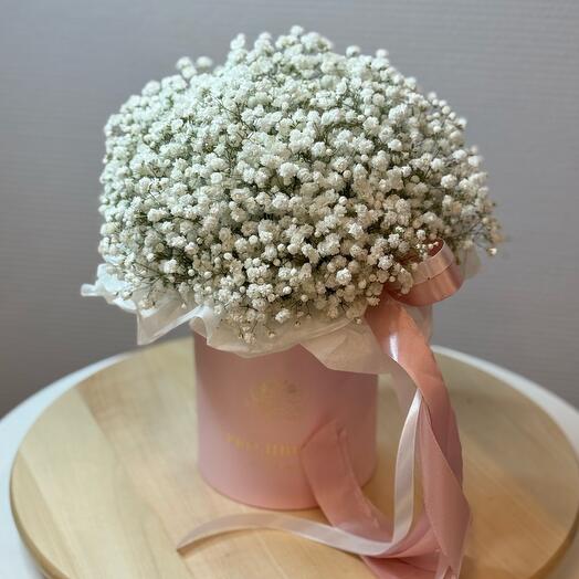 Белая гипсофила в розовой коробке