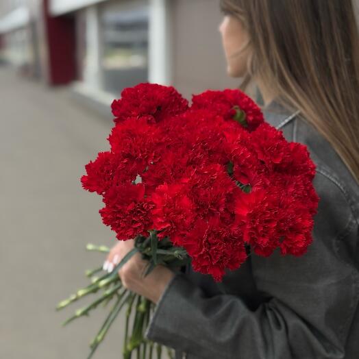 Гвоздика Красная 25 штук