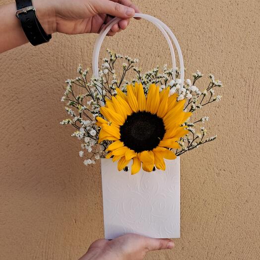 Sunflower in a bag