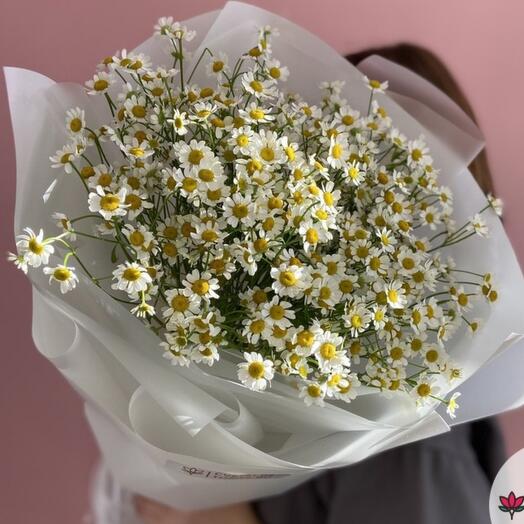 Букет из 11 кустовых ромашек