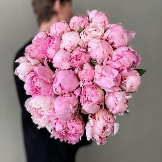25 пионов Сара Бернар с атласной лентой 💗