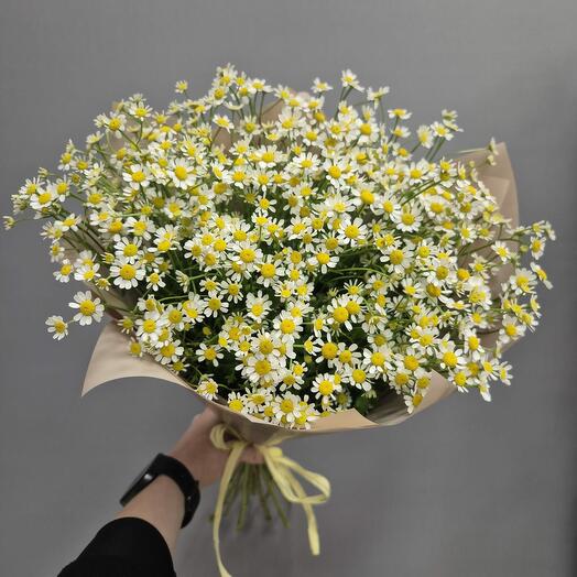 Букет 15 ромашек 🌼