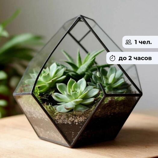 Живое искусство.  Групповой мастер-класс по созданию флорариума