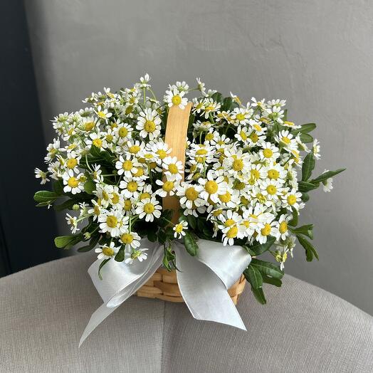 Ромашки в корзинке