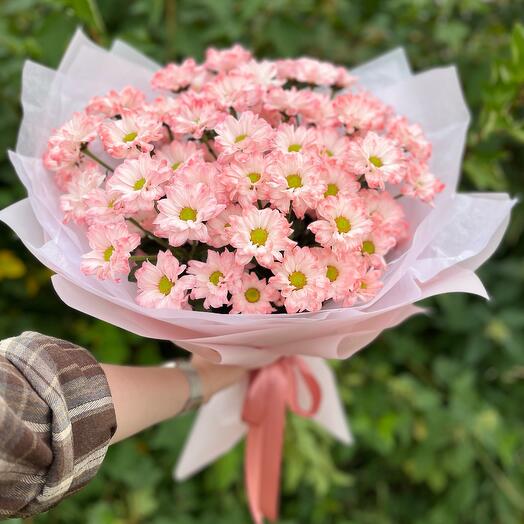 Ромашковые хризантемы розовые (7 шт)