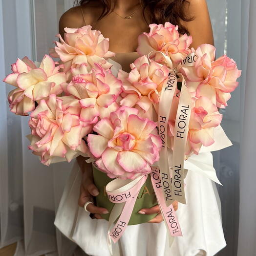 Коробка ESPERANCE