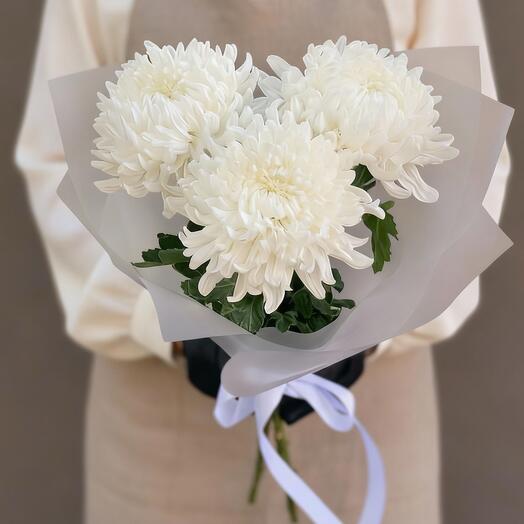Белоснежный комплимент хризантемы