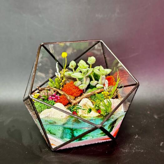 Флорариум «Солнечный берег»