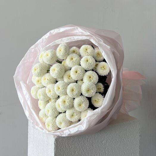 Моно из хризантемы «помпушки»