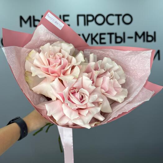 Розовые французские розы