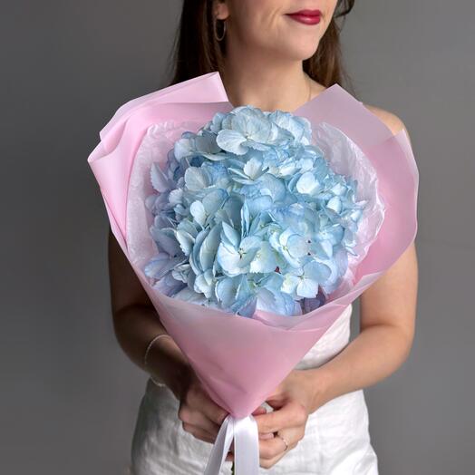 Нежный букет голубая гортензия