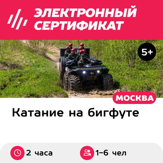 Подарочный сертификат Квадросафари на снегоболотоходе / квадробигфуте для 1-6 чел. (2 часа)