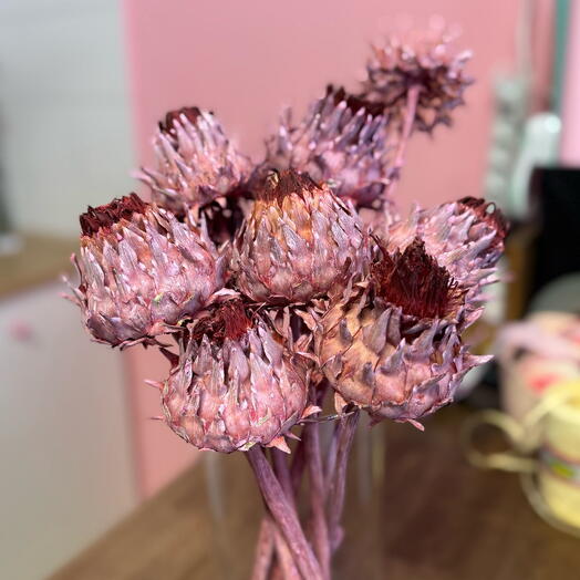 9 articsóka - tartós és különleges vázába