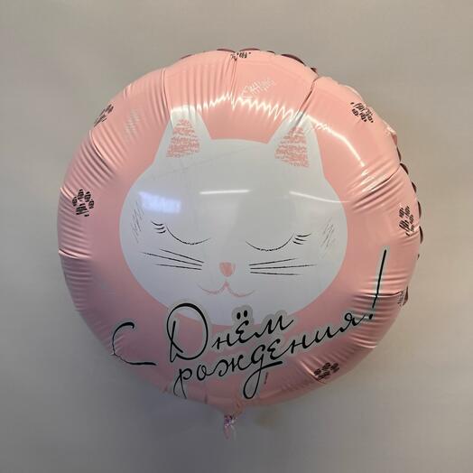 Шарик с днем рождения с кошечкой
