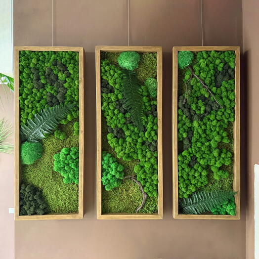 Модульная картина из мха "Forest three" в подарочной упаковке. 80*30 см. Кедр